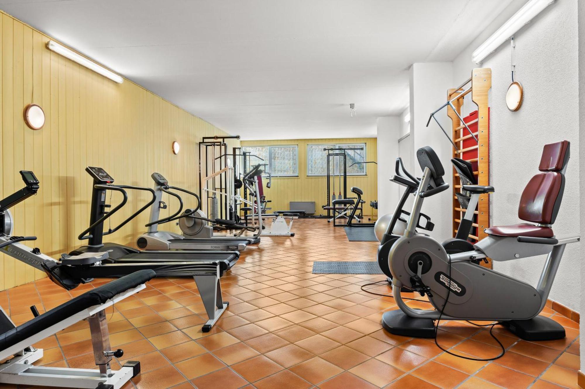 Aparthotel Des Alpes Cavalese
